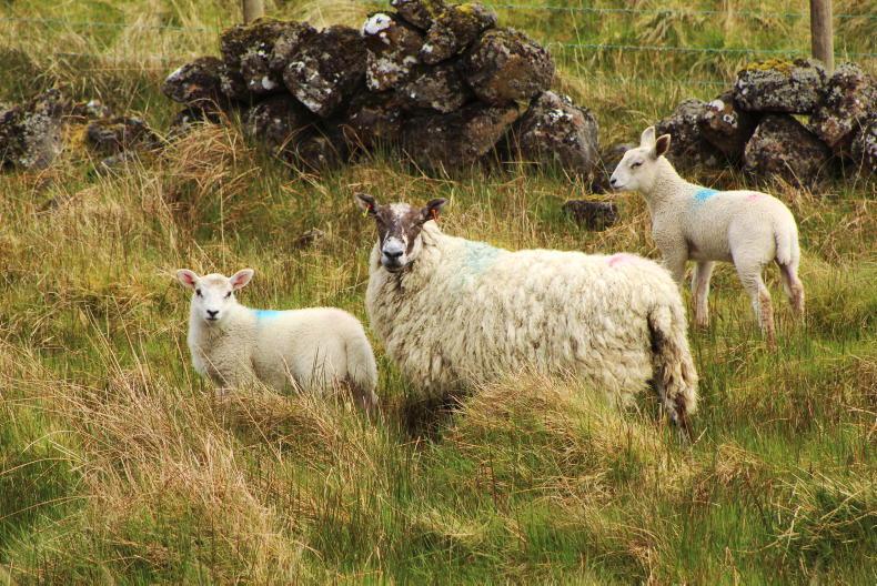 Getting up to speed on ACRES measures Getting up to speed on ACRES measures