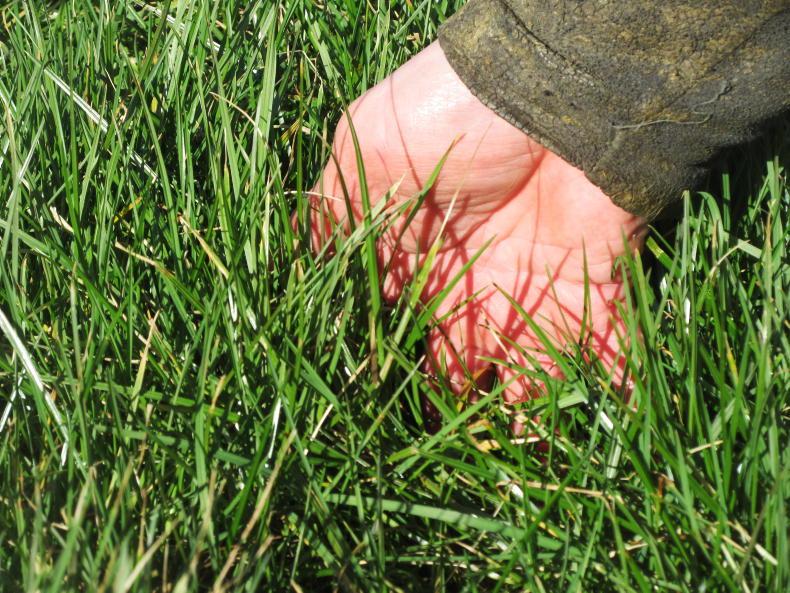 Grass + Beef Growth variable across farms with cool weather Grass + Beef Growth variable across farms with cool weather
