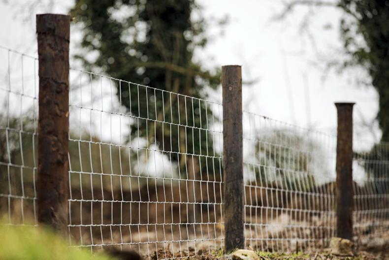 TAMS III sheep and cattle fencing requirements Free