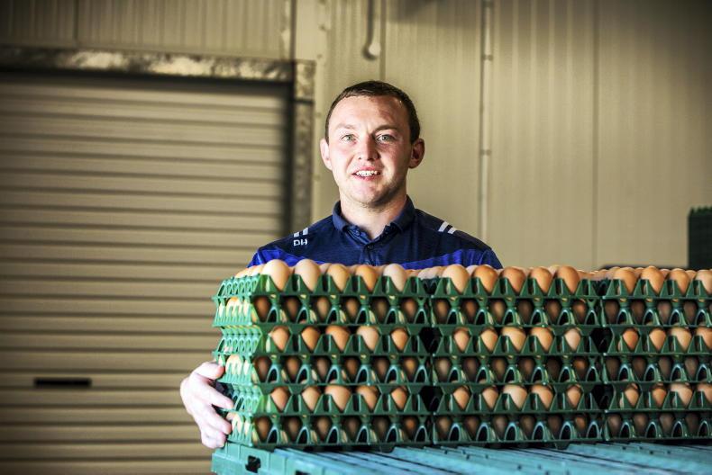 Egg producer event in Cavan to address challenges ahead Egg producer event in Cavan to address challenges ahead