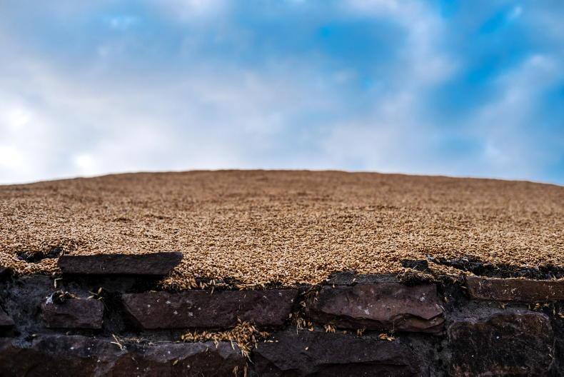 Grain Trends: fall continues for cereals and oilseed rape Grain Trends: fall continues for cereals and oilseed rape