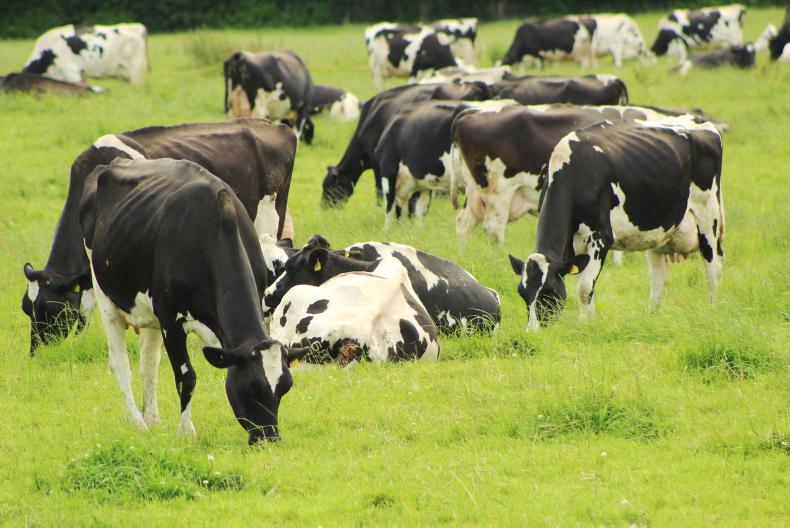 Kennedy wins Dale Farm’s milk quality awards Kennedy wins Dale Farm’s milk quality awards