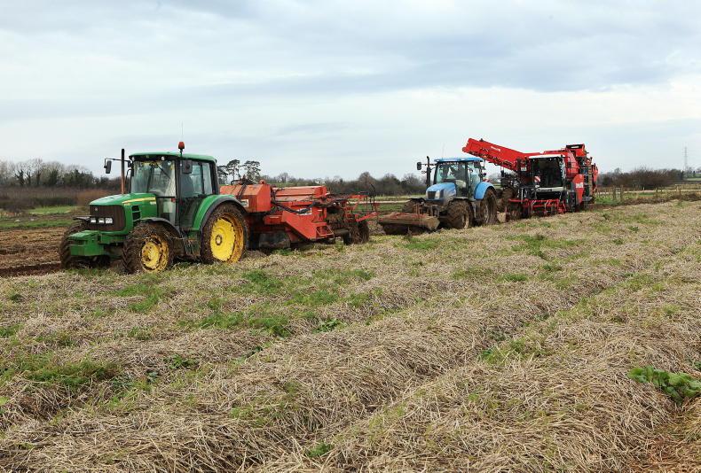 Wonky food in a wonky food chain Wonky food in a wonky food chain