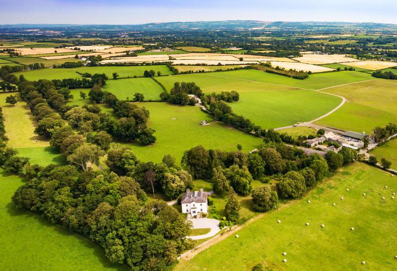 Farming heritage goes on sale in Kilkenny Free