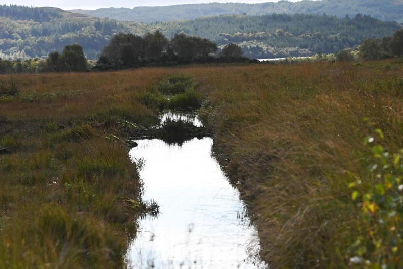 2,000ha Glenasmole Valley to be rewet and planted with trees 2,000ha Glenasmole Valley to be rewet and planted with trees