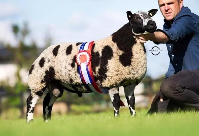 Second sale set for spring superstars Second sale set for spring superstars