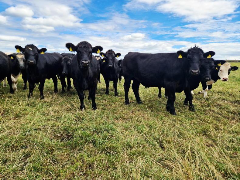 Continued dry spell could peel back growth Continued dry spell could peel back growth