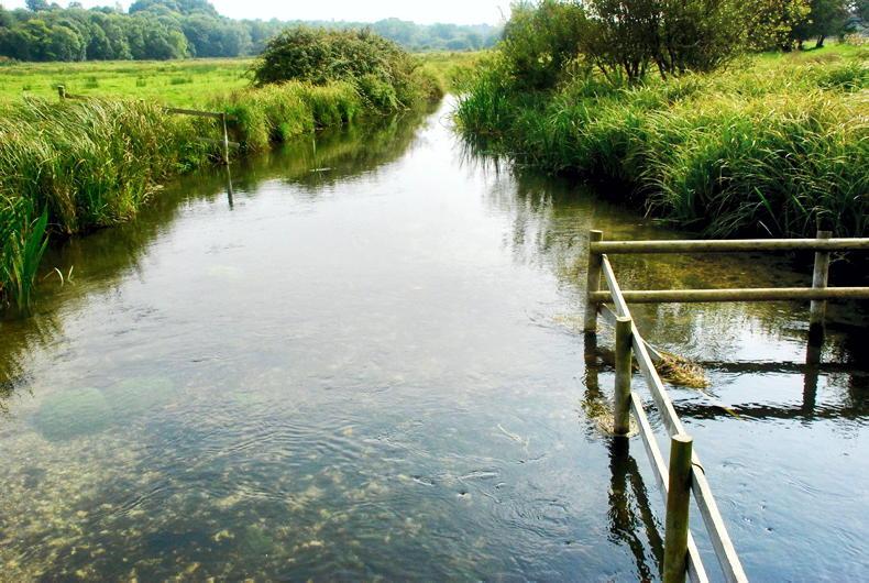 Inland Fisheries Ireland to fund solar drinking pumps for livestock in Offaly Inland Fisheries Ireland to fund solar drinking pumps for livestock in Offaly