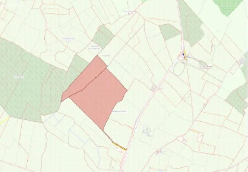 Large block of forestry for sale in Kilkenny Large block of forestry for sale in Kilkenny
