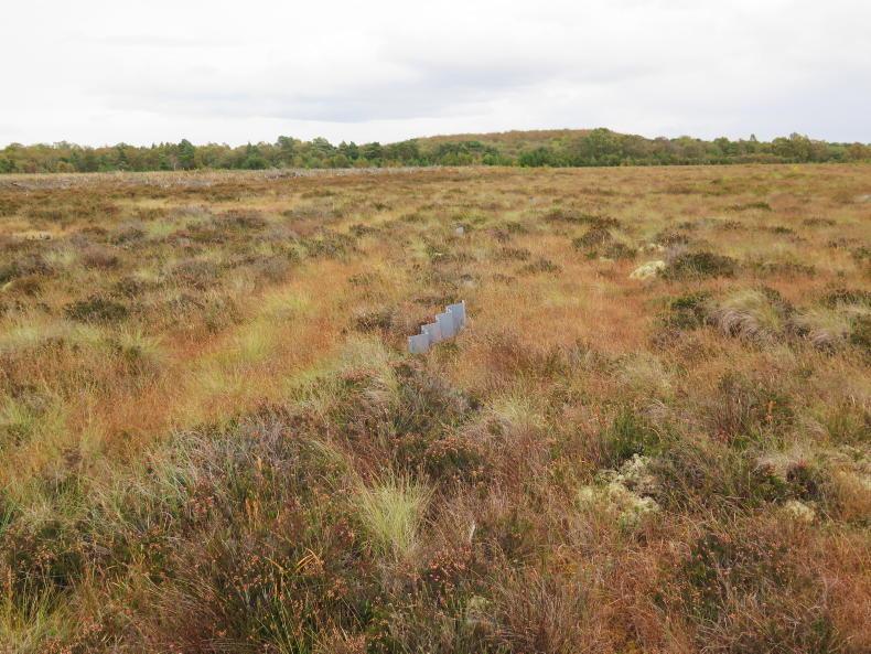 Fears rewetting will slash land prices Fears rewetting will slash land prices