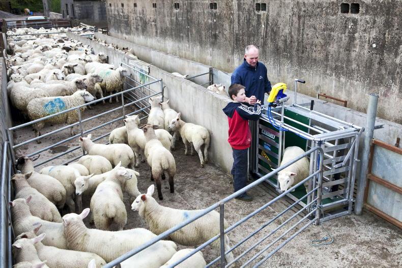 Farm safety scheme under TAMS III now open Farm safety scheme under TAMS III now open