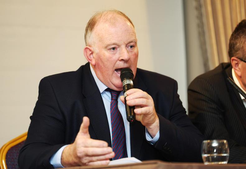 Gorman to run for IFA presidency Gorman to run for IFA presidency