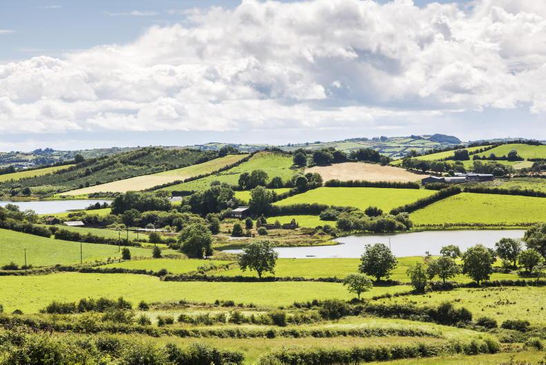 Nature restoration law to affect much more than peat farms Nature restoration law to affect much more than peat farms