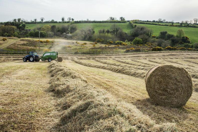 NI roundup: diesel prices and TB study NI roundup: diesel prices and TB study