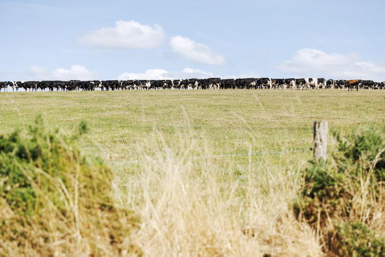 Current dry spell last seen in summer of 2018 – Met Éireann Current dry spell last seen in summer of 2018 – Met Éireann