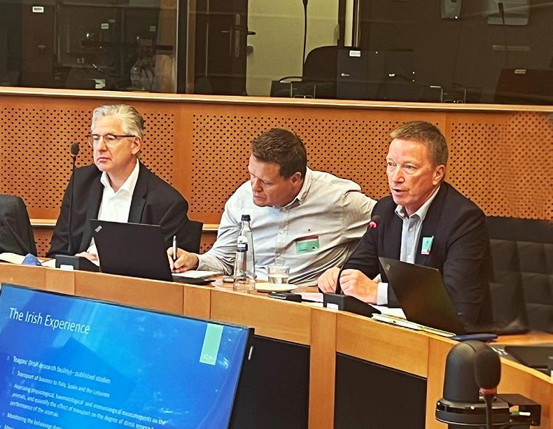 Farmers 'want the best' for calves during live transport - ICOS Farmers 'want the best' for calves during live transport - ICOS