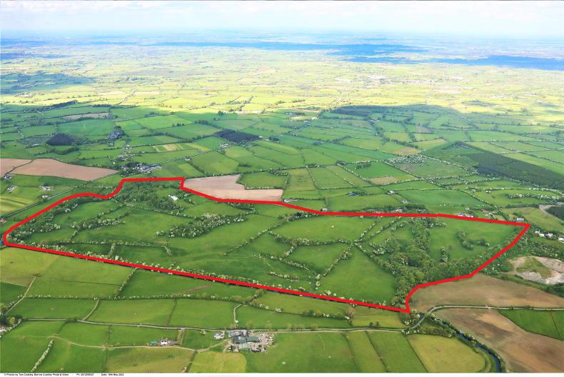 221ac in one block for sale in Offaly 221ac in one block for sale in Offaly
