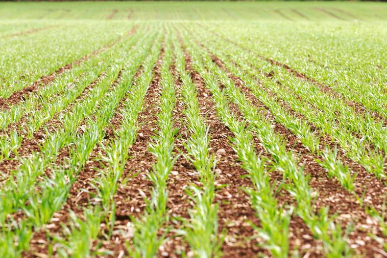 2022 tillage incomes unlikely to be reflected in 2023 2022 tillage incomes unlikely to be reflected in 2023