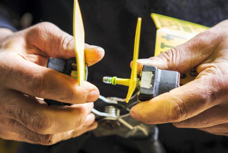 Continuation of BVD testing on the cards Continuation of BVD testing on the cards