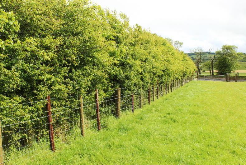 Farmers lose out on ACRES places due to de-listed adviser Farmers lose out on ACRES places due to de-listed adviser
