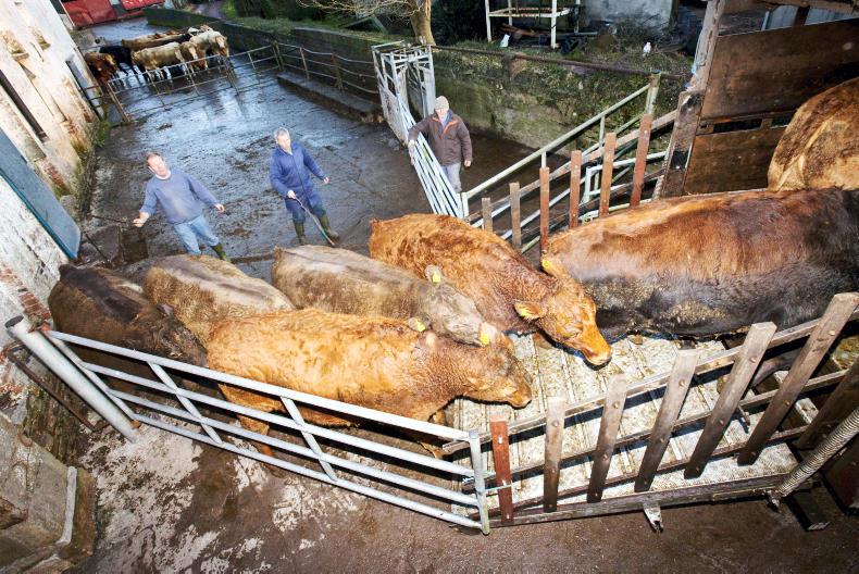 DAERA consider TB compensation cuts DAERA consider TB compensation cuts