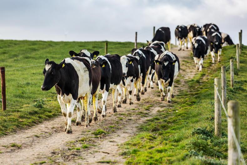 Lakeland and Dale Farm cut May milk prices Lakeland and Dale Farm cut May milk prices