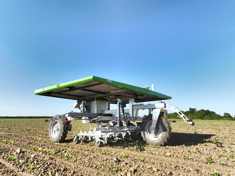 Calling all vegetable growers - major event takes place this week Calling all vegetable growers - major event takes place this week