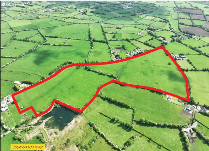 68.7ac Offaly farm with nice pasture and old castle Free