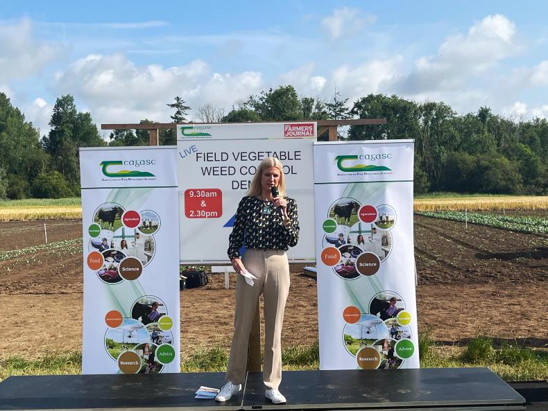 Higher prices needed for horticulture farmers - Hackett Higher prices needed for horticulture farmers - Hackett