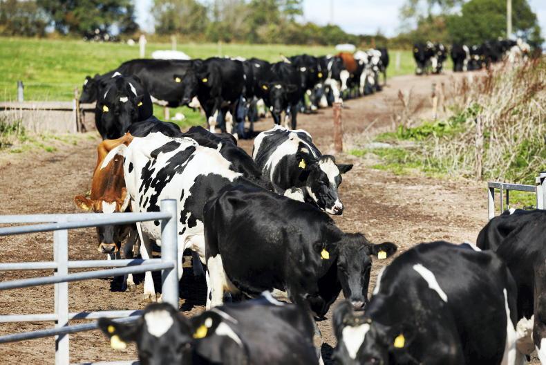 Achieving good work-life balance on farms Achieving good work-life balance on farms