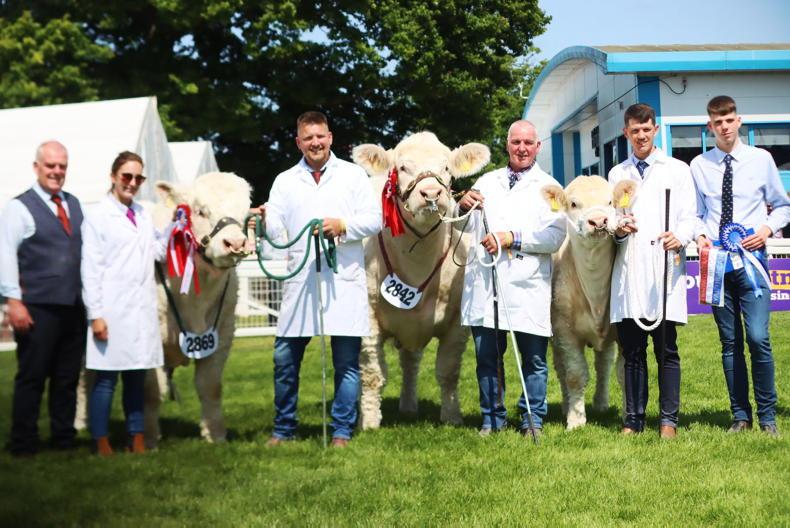 In pictures: Irish stars shining bright at Royal Highland Show in Edinburgh In pictures: Irish stars shining bright at Royal Highland Show in Edinburgh
