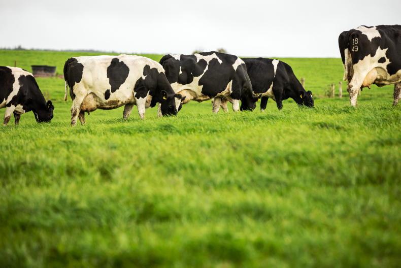 Milk price pressures spell supply decline Milk price pressures spell supply decline