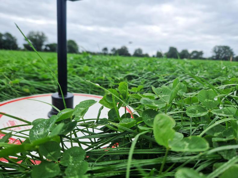 Will the second half of the season see higher growth? Will the second half of the season see higher growth?