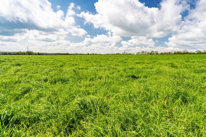 Fine big dairy farm in Meath for €9m Fine big dairy farm in Meath for €9m