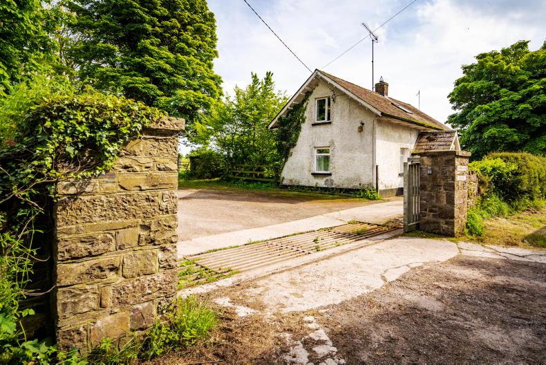 Fine big dairy farm in Meath for €9m Fine big dairy farm in Meath for €9m