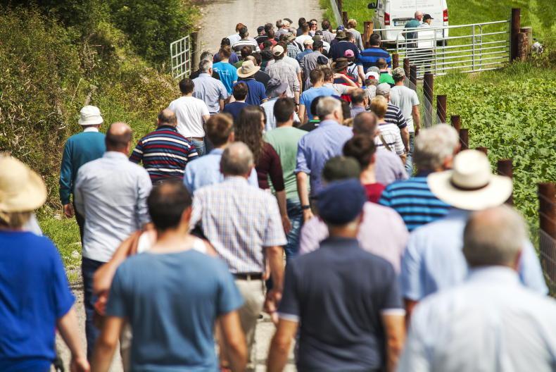 ‘Pub talk’ experts on national airwaves know nothing about agriculture ‘Pub talk’ experts on national airwaves know nothing about agriculture