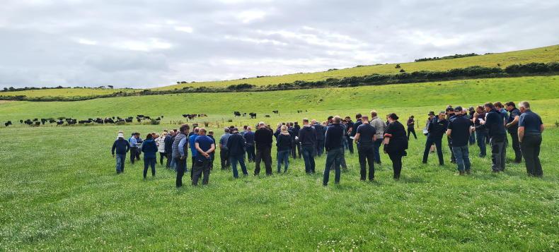Derogation cut could cost Timoleague farmer almost €30,000 Derogation cut could cost Timoleague farmer almost €30,000