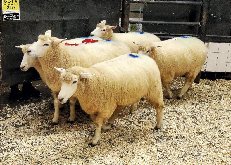 Galway Sheep farmers to get €2.00/kg for wool this July Galway Sheep farmers to get €2.00/kg for wool this July