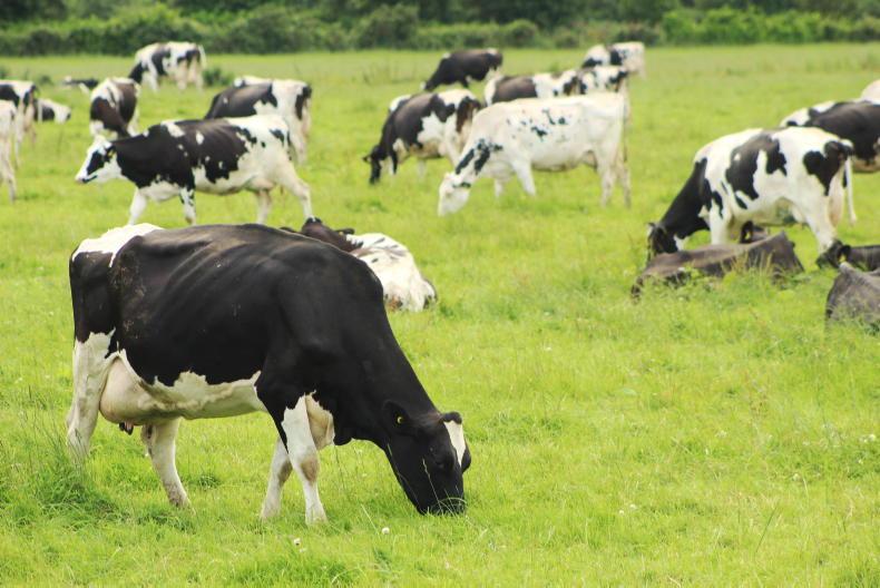 Grass growth shifts into cruise control Grass growth shifts into cruise control