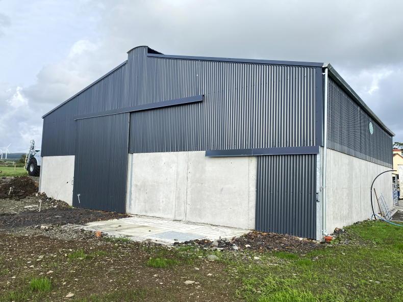 Simple suckler shed for pedigree herd Simple suckler shed for pedigree herd