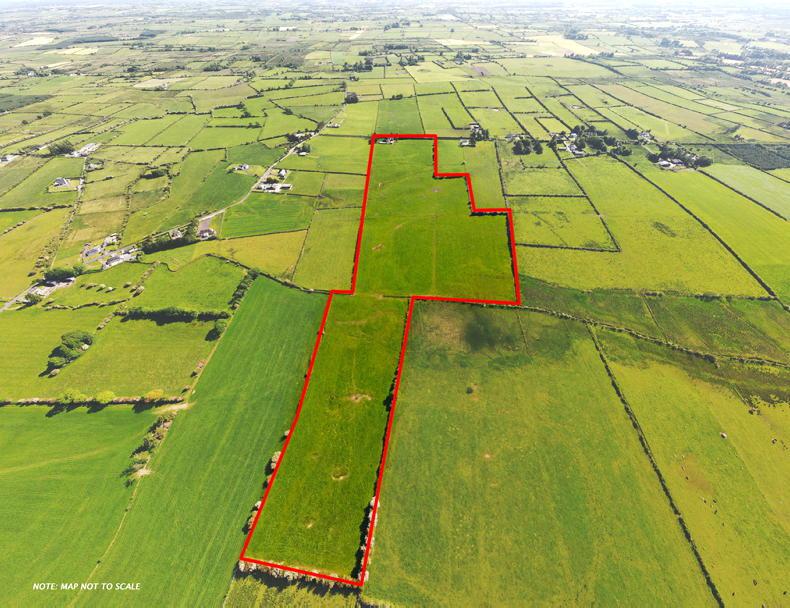 Two blocks of grazing land in Roscommon Two blocks of grazing land in Roscommon