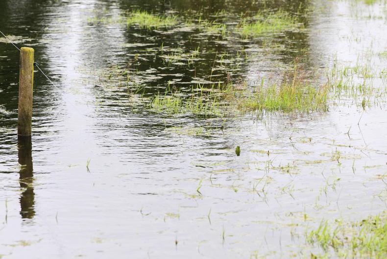 Loughrea Mart flooded as rain wreaks havoc nationwide Loughrea Mart flooded as rain wreaks havoc nationwide