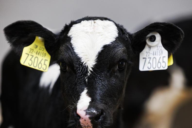 40% EID grant for marts is ‘absolutely crap’ – McGuinness 40% EID grant for marts is ‘absolutely crap’ – McGuinness