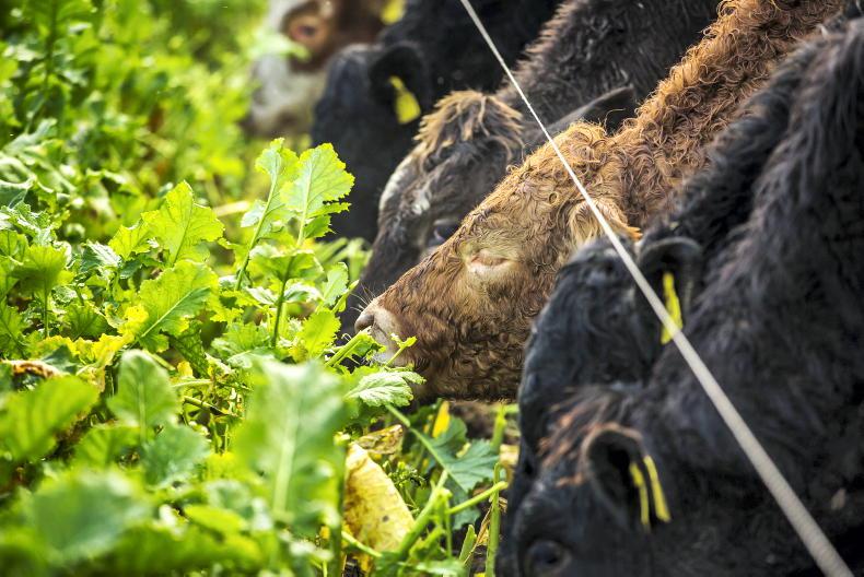 Plan now for August management jobs Plan now for August management jobs