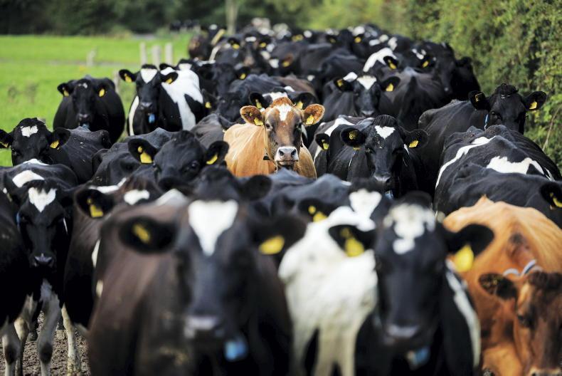 Not enough evidence to reduce derogation limit - IFA Not enough evidence to reduce derogation limit - IFA