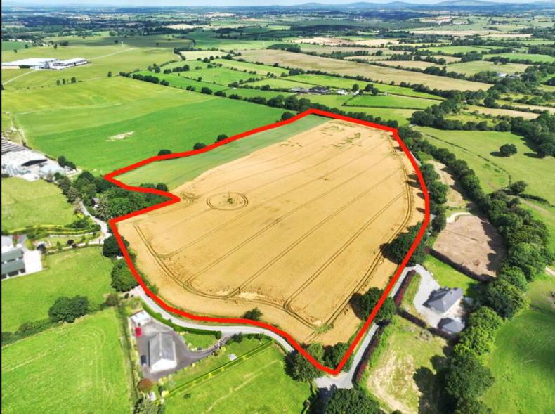 Tillage field for sale in Co Carlow Tillage field for sale in Co Carlow
