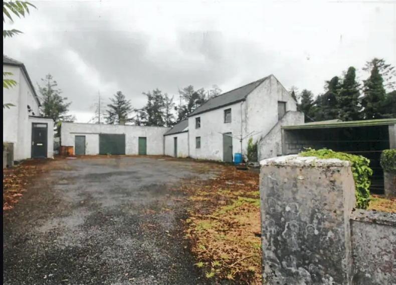62.6ac farm for sale in Co Galway 62.6ac farm for sale in Co Galway