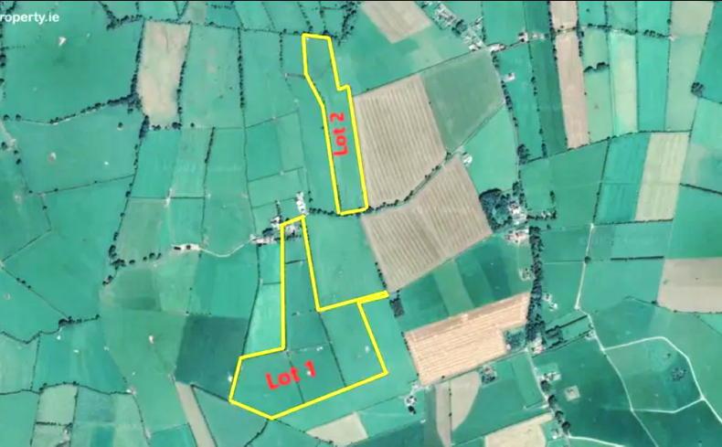 62.6ac farm for sale in Co Galway 62.6ac farm for sale in Co Galway