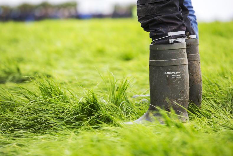 Teagasc predicts 'sharp fall' in dairy and tillage incomes Teagasc predicts 'sharp fall' in dairy and tillage incomes