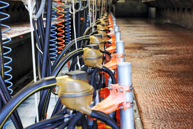 Dairy Management: time to think about 13 times milking Dairy Management: time to think about 13 times milking